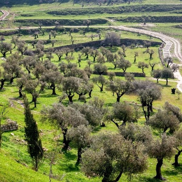 Jerusalem, Israel (Holy Land)