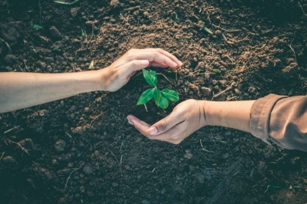 About Sentitree